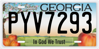 GA license plate PYV7293