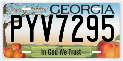 GA license plate PYV7295