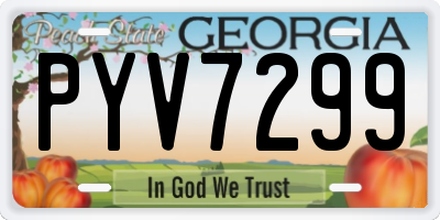GA license plate PYV7299