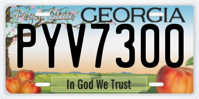GA license plate PYV7300