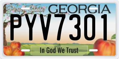 GA license plate PYV7301