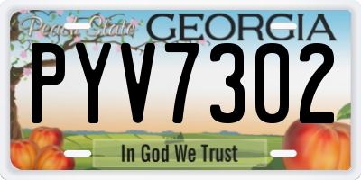 GA license plate PYV7302