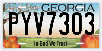 GA license plate PYV7303