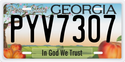 GA license plate PYV7307