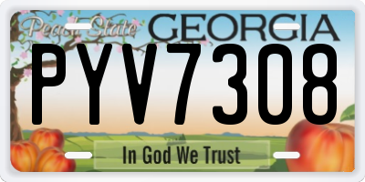 GA license plate PYV7308
