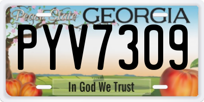 GA license plate PYV7309