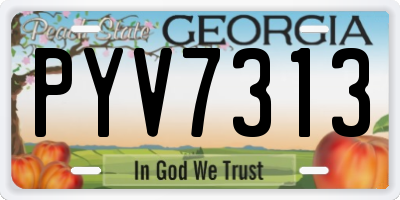GA license plate PYV7313