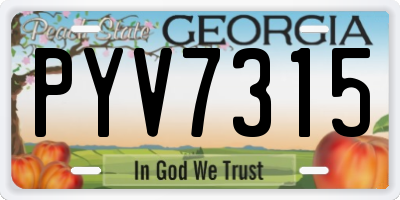 GA license plate PYV7315