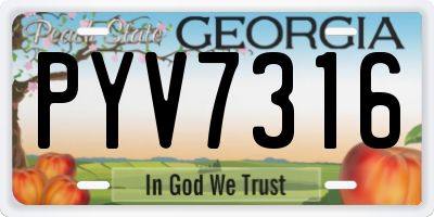 GA license plate PYV7316