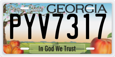 GA license plate PYV7317