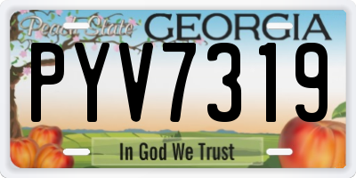GA license plate PYV7319