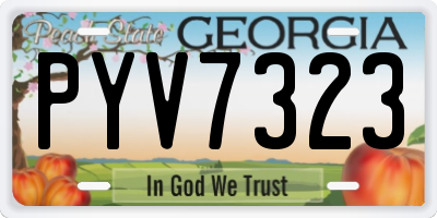 GA license plate PYV7323