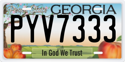 GA license plate PYV7333