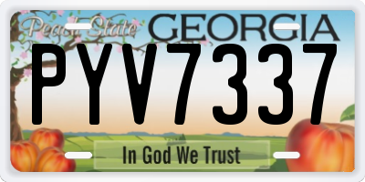 GA license plate PYV7337