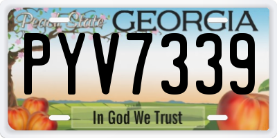 GA license plate PYV7339