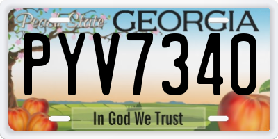 GA license plate PYV7340