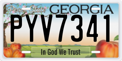 GA license plate PYV7341