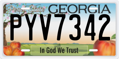 GA license plate PYV7342