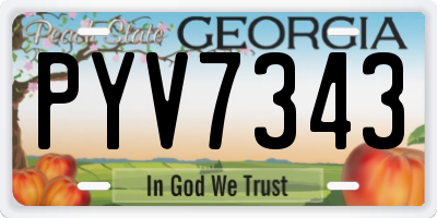 GA license plate PYV7343