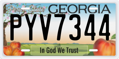 GA license plate PYV7344