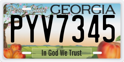 GA license plate PYV7345