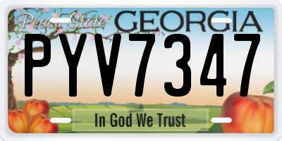 GA license plate PYV7347
