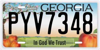 GA license plate PYV7348