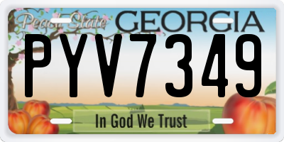 GA license plate PYV7349