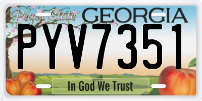 GA license plate PYV7351