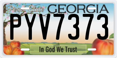 GA license plate PYV7373