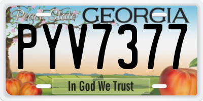 GA license plate PYV7377