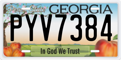 GA license plate PYV7384