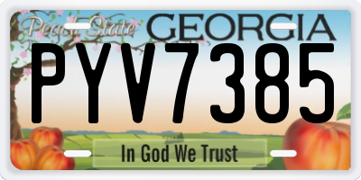 GA license plate PYV7385