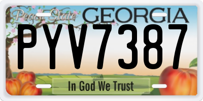 GA license plate PYV7387
