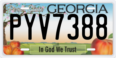 GA license plate PYV7388