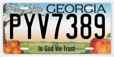 GA license plate PYV7389