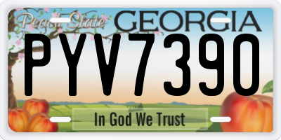 GA license plate PYV7390