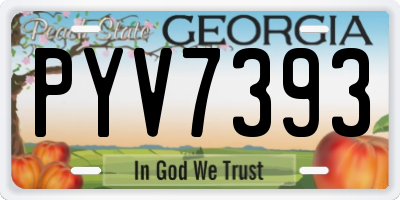 GA license plate PYV7393