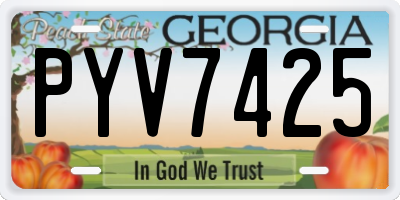 GA license plate PYV7425