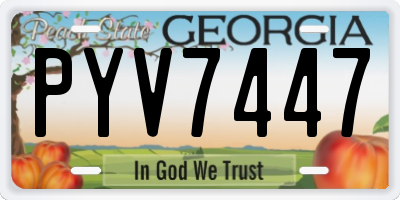 GA license plate PYV7447