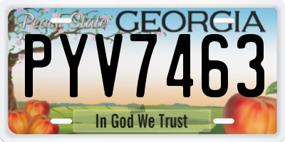 GA license plate PYV7463