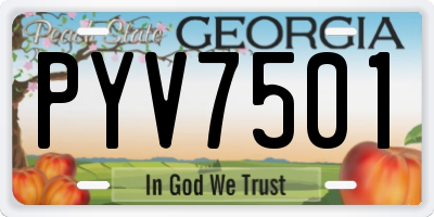 GA license plate PYV7501