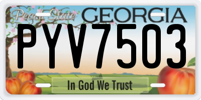 GA license plate PYV7503