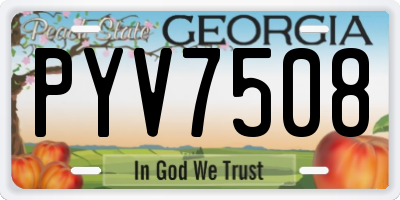GA license plate PYV7508