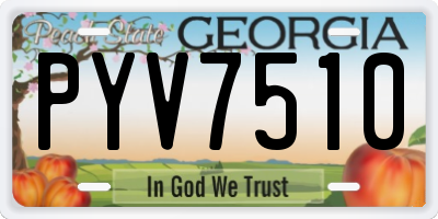 GA license plate PYV7510