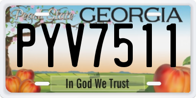 GA license plate PYV7511