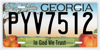 GA license plate PYV7512