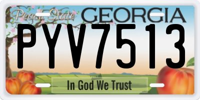 GA license plate PYV7513