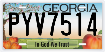 GA license plate PYV7514