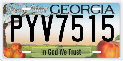 GA license plate PYV7515